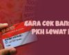 Cara Cek Bansos PKH Lewat KTP